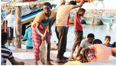 منحة يابانية لدعم الصيادين في اليمن بـ 3.5 مليون دولار