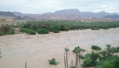 السفير البريطاني قلق من الفيضانات في اليمن وتركيا تعزي ضحايا السيول بمأرب
