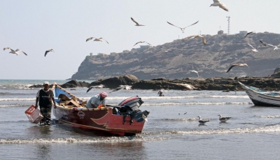 الأمم المتحدة تعلن إطلاق مشروع لدعم الصيادين في اليمن