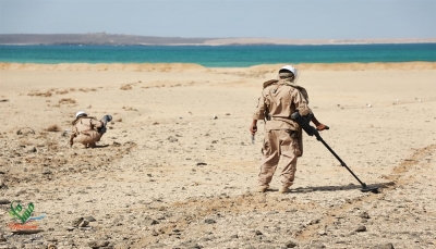 مسام: نزع أكثر من 1500 لغم حوثي خلال أسبوع