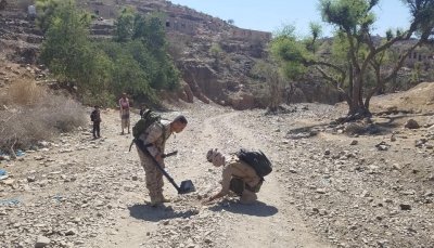 تعز.. الجيش يستكمل تحرير منطقة الطوير وينزع الألغام غرب المحافظة