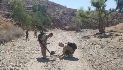 "مسام" يعلن نزع أكثر من ألف لغم حوثي خلال أسبوع