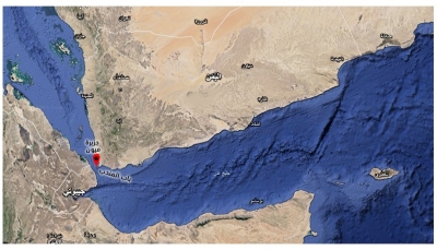 جزيرة ميُّون اليمنية في الحسابات الاستراتيجية الإماراتية والسعودية (تحليل خاص)
