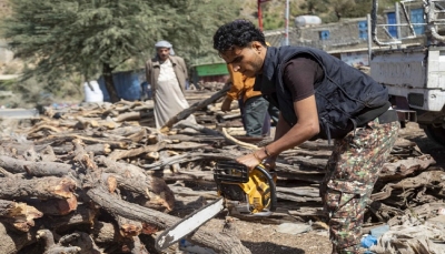 اليمن.. قطع الأشجار بديل الغاز والوقود